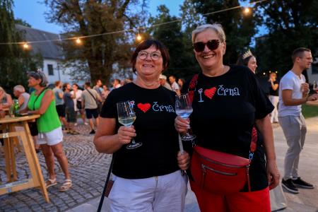 24504X1107 – kopija